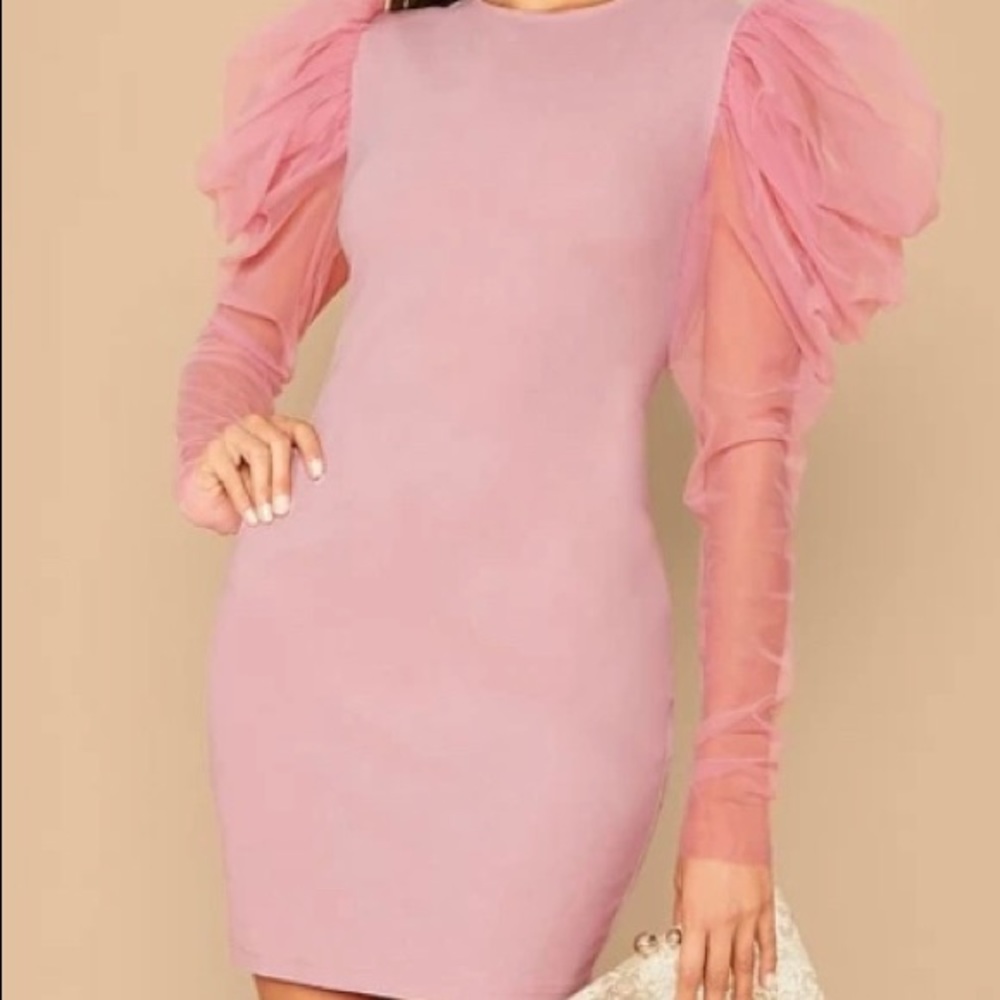 NWOT💗 PINK TULLE LONG ORGANZA SLEEVE DRESS
